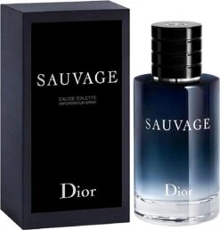 Dior Sauvage 60 Ml - Eau De Toilette - Herenparfum -Cosmetica Serie Winkel 1151x1200 1