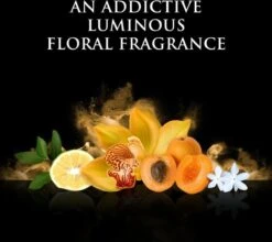 Beyonce Rise - 100ml - Eau De Parfum -Cosmetica Serie Winkel 1200x1068