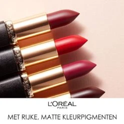 L'Oréal Paris Make-Up Designer Color Riche Matte Addiction - 652 Stone - Lipstick -Cosmetica Serie Winkel 1200x1198 5