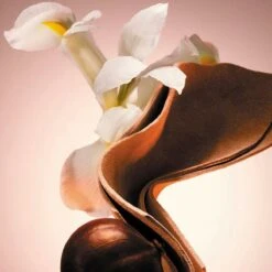 Hugo Boss The Scent Le Parfum Eau De Parfum 100 Ml -Cosmetica Serie Winkel 1200x1200 361