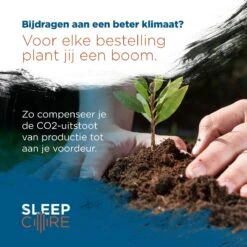 SleepCore® - 14x Slaap Oordopjes - Snurken - Siliconen Slaapoordoppen - Zwem Oordoppen - Slapen - Geluidsoverlast - Sound Plugs - Anti Snurk - Slaaphulp - Geluid Studeren Gehoorbescherming Earplugs Lawaai Waterdicht Hoge Demping Kneedbare Geluiddicht -Cosmetica Serie Winkel 1200x1200 517
