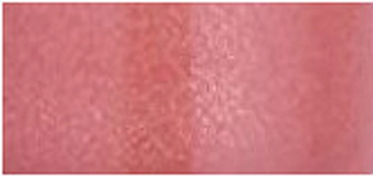 Bourjois Gloss Fabuleux Lipgloss - 4 Popular Pink 12 Bourjois Gloss Fabuleux Lipgloss - 4 Popular Pink - Afbeelding 10