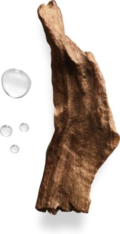 Giorgio Armani Acqua Di Gio Absolu 75ml - Eau De Parfum - Herenparfum -Cosmetica Serie Winkel 616x1200