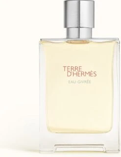 Hermes Terre D'Hermes Eau Givree Eau De Parfum 100 Ml -Cosmetica Serie Winkel 927x1200 1